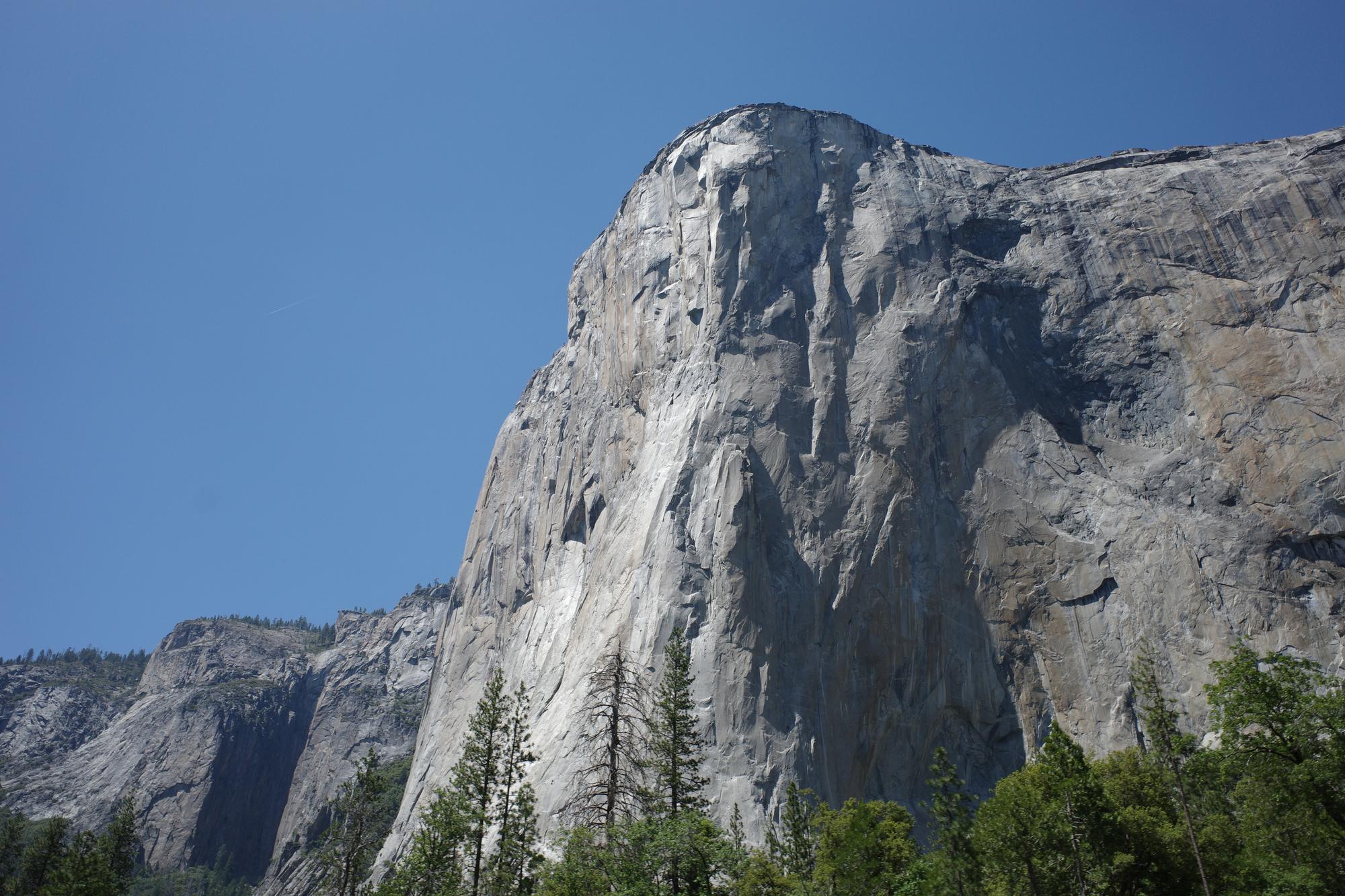 A close view of the sunlit granite face of El Capitan above Yosemite conifers